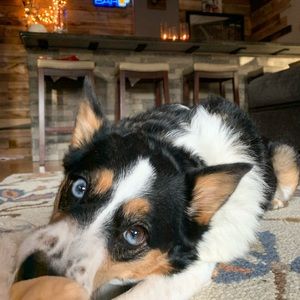 Meet your Posher, Lori